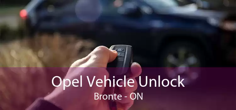 Opel Vehicle Unlock Bronte - ON