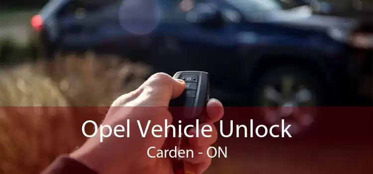 Opel Vehicle Unlock Carden - ON