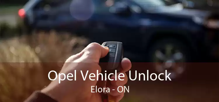 Opel Vehicle Unlock Elora - ON
