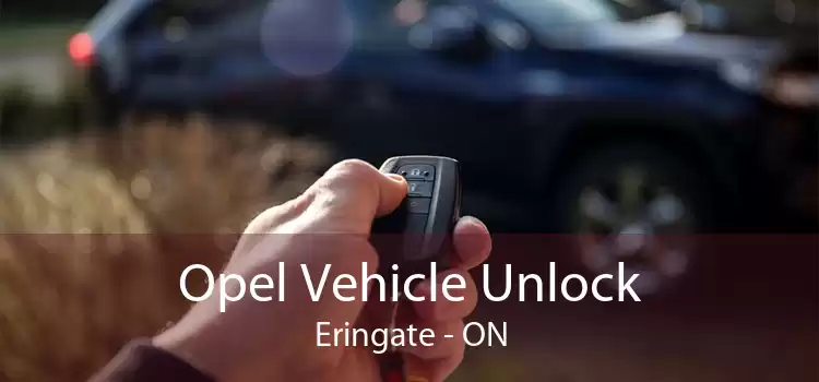 Opel Vehicle Unlock Eringate - ON