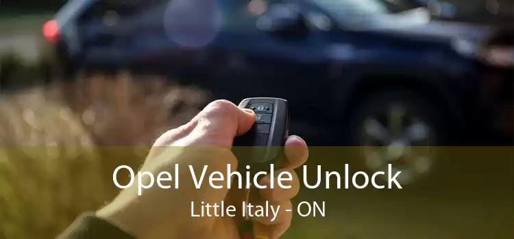 Opel Vehicle Unlock Little Italy - ON