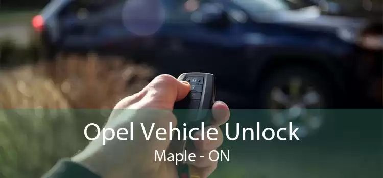 Opel Vehicle Unlock Maple - ON