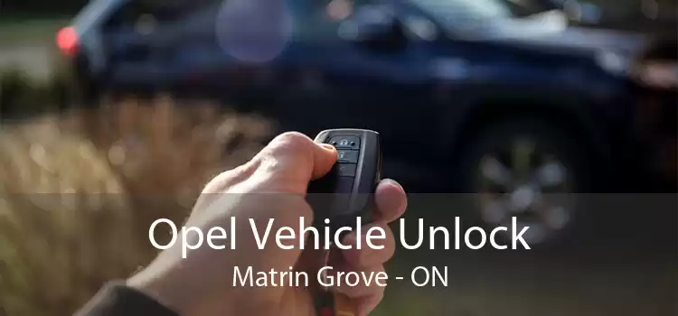 Opel Vehicle Unlock Matrin Grove - ON