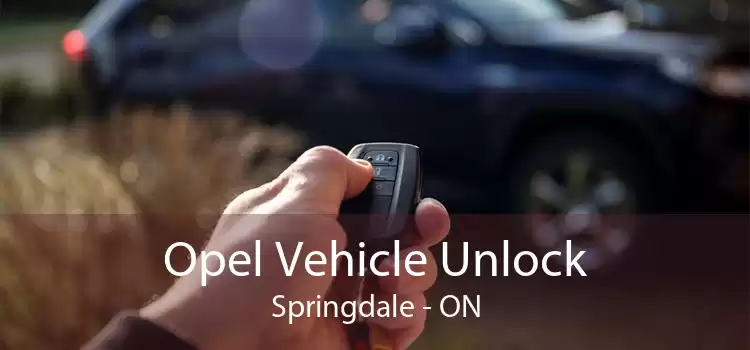 Opel Vehicle Unlock Springdale - ON