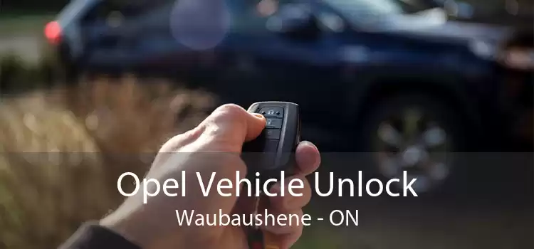 Opel Vehicle Unlock Waubaushene - ON