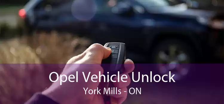 Opel Vehicle Unlock York Mills - ON