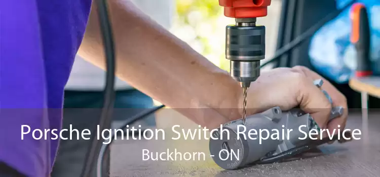 Porsche Ignition Switch Repair Service Buckhorn - ON