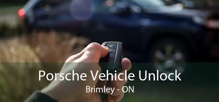Porsche Vehicle Unlock Brimley - ON