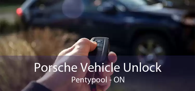 Porsche Vehicle Unlock Pentypool - ON