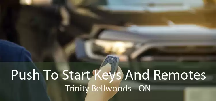 Push To Start Keys And Remotes Trinity - Bellwoods - ON