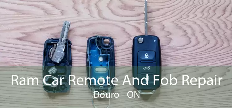 Ram Car Remote And Fob Repair Douro - ON