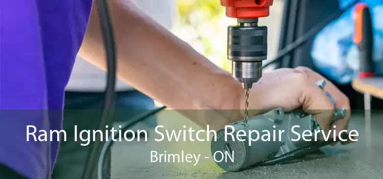 Ram Ignition Switch Repair Service Brimley - ON