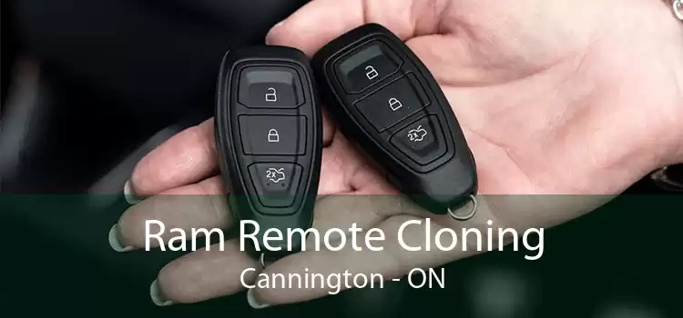 Ram Remote Cloning Cannington - ON