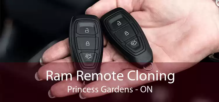 Ram Remote Cloning Princess Gardens - ON