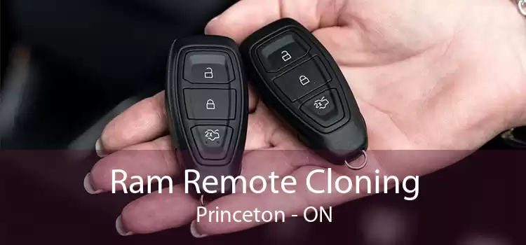 Ram Remote Cloning Princeton - ON