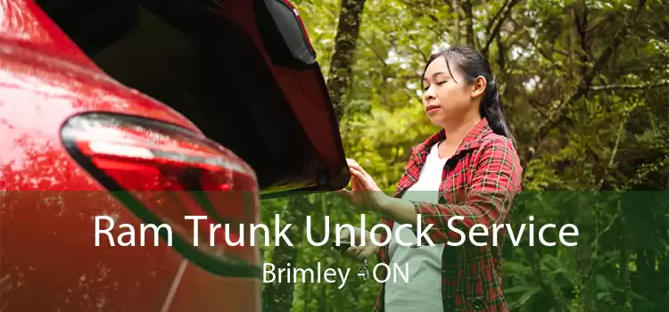 Ram Trunk Unlock Service Brimley - ON