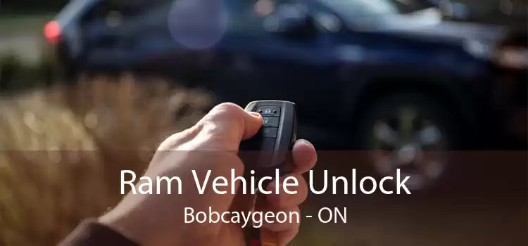 Ram Vehicle Unlock Bobcaygeon - ON