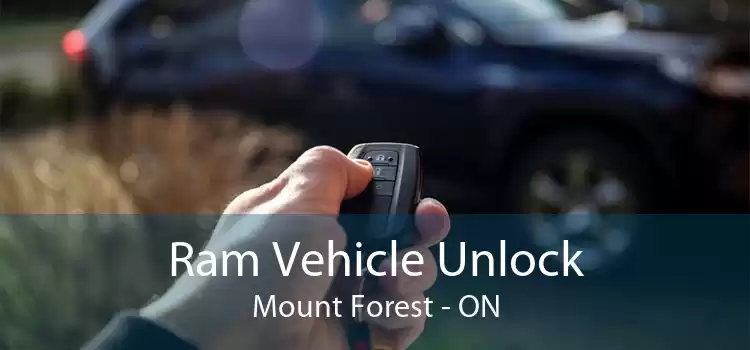 Ram Vehicle Unlock Mount Forest - ON