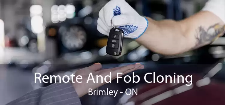 Remote And Fob Cloning Brimley - ON