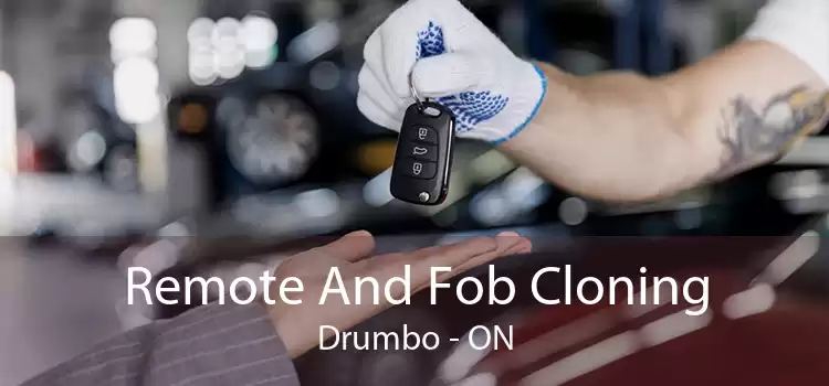 Remote And Fob Cloning Drumbo - ON