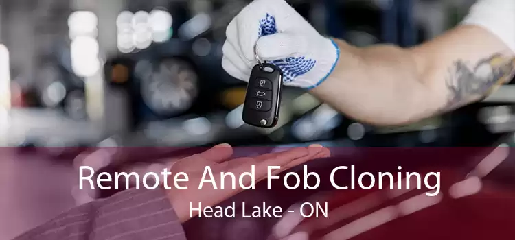 Remote And Fob Cloning Head Lake - ON