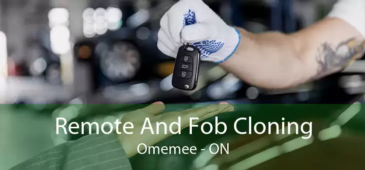 Remote And Fob Cloning Omemee - ON
