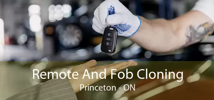Remote And Fob Cloning Princeton - ON