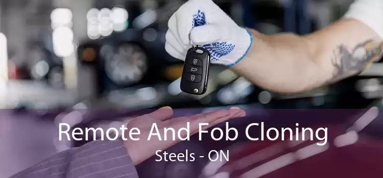 Remote And Fob Cloning Steels - ON
