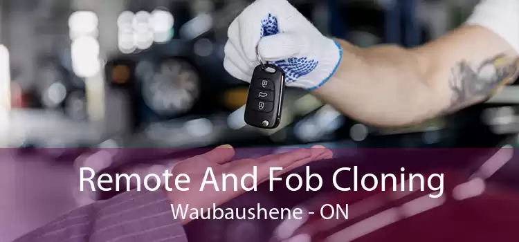 Remote And Fob Cloning Waubaushene - ON