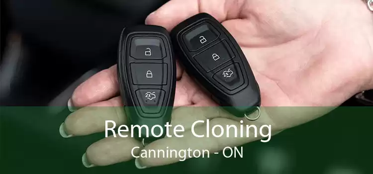 Remote Cloning Cannington - ON