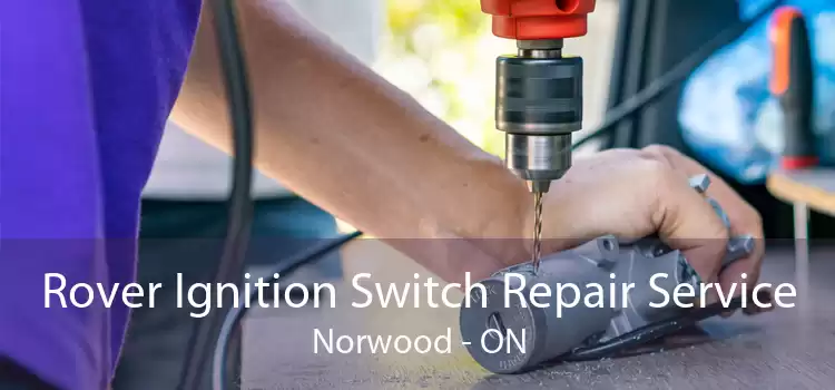 Rover Ignition Switch Repair Service Norwood - ON