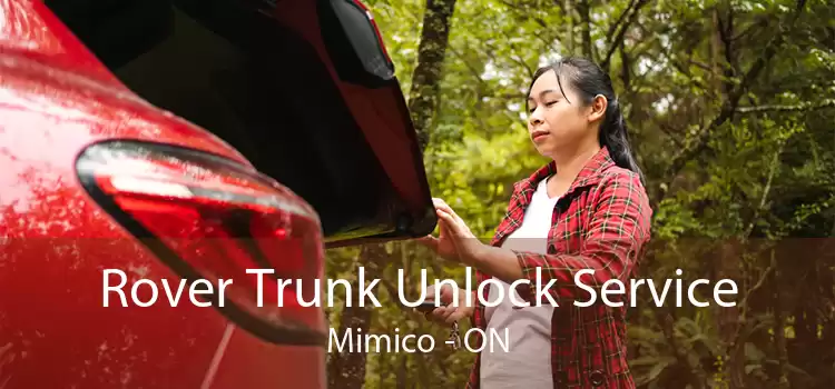 Rover Trunk Unlock Service Mimico - ON