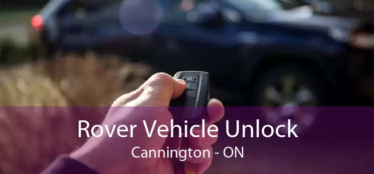 Rover Vehicle Unlock Cannington - ON