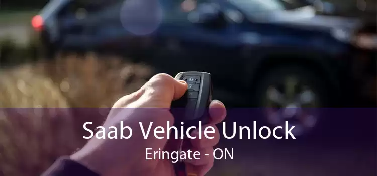 Saab Vehicle Unlock Eringate - ON
