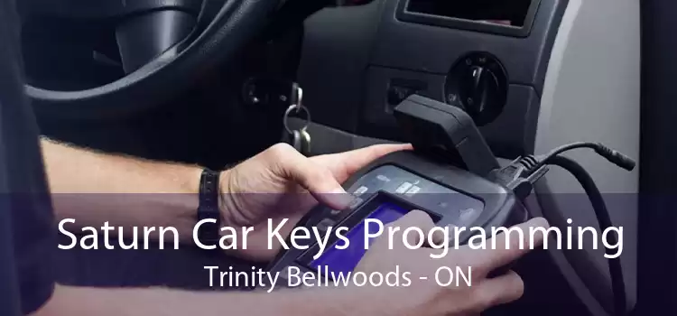 Saturn Car Keys Programming Trinity - Bellwoods - ON