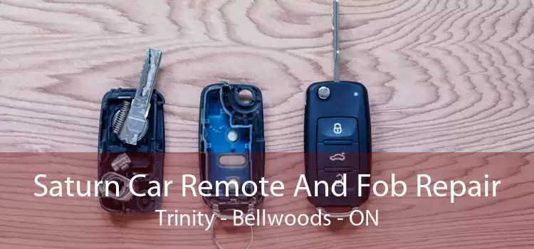 Saturn Car Remote And Fob Repair Trinity - Bellwoods - ON
