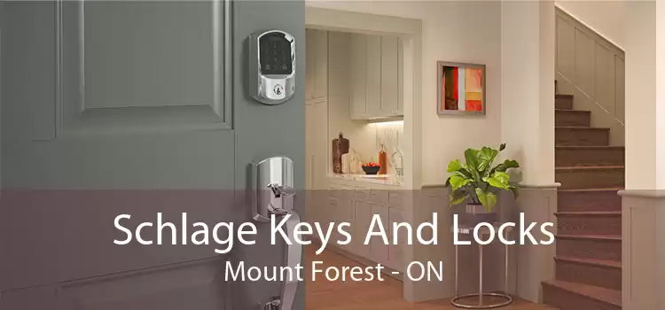 Schlage Keys And Locks Mount Forest - ON