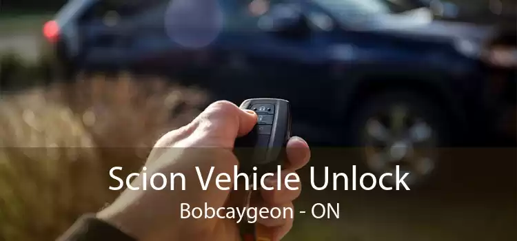 Scion Vehicle Unlock Bobcaygeon - ON