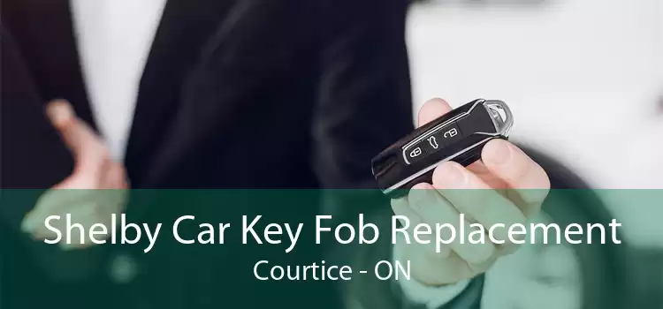 Shelby Car Key Fob Replacement Courtice - ON