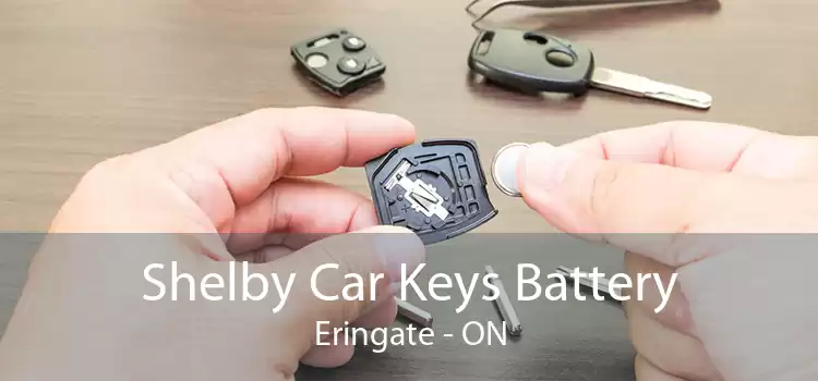 Shelby Car Keys Battery Eringate - ON