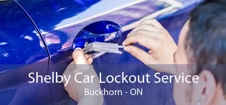 Shelby Car Lockout Service Buckhorn - ON