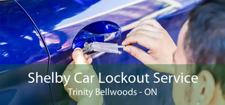 Shelby Car Lockout Service Trinity Bellwoods - ON