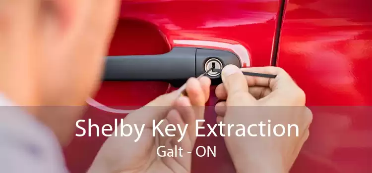 Shelby Key Extraction Galt - ON