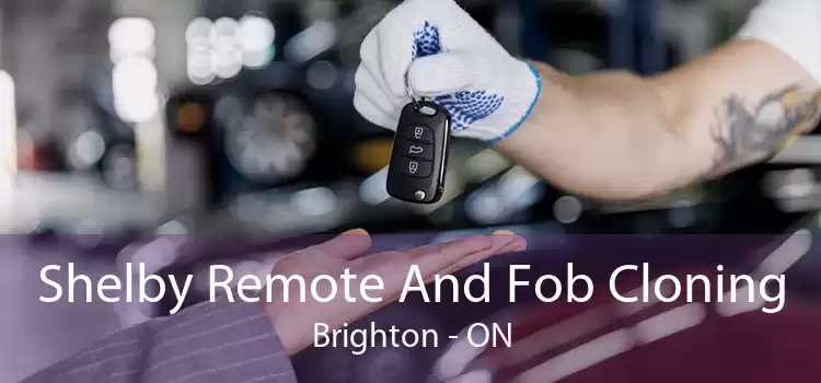 Shelby Remote And Fob Cloning Brighton - ON