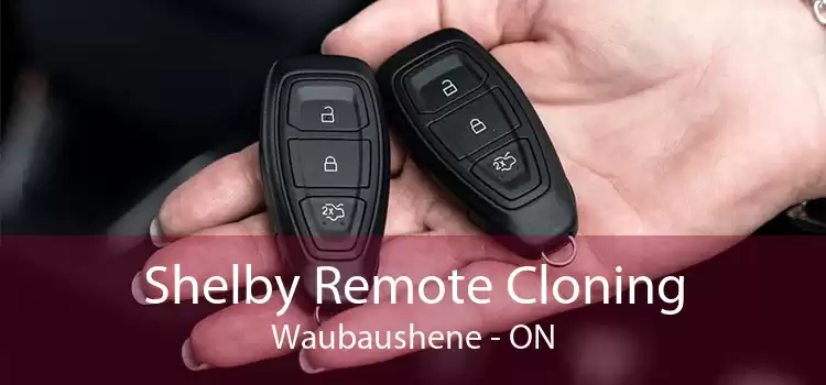 Shelby Remote Cloning Waubaushene - ON