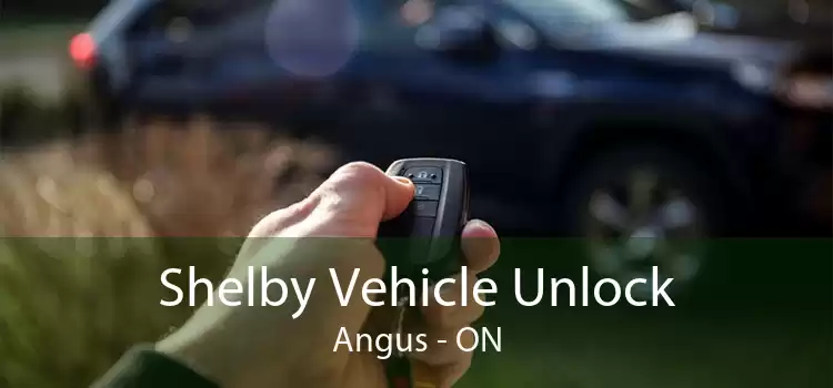 Shelby Vehicle Unlock Angus - ON
