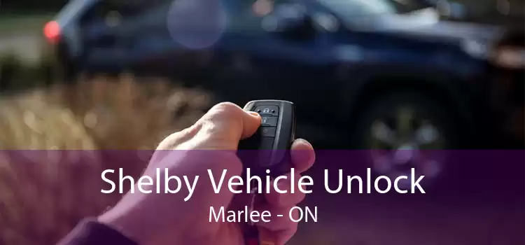 Shelby Vehicle Unlock Marlee - ON