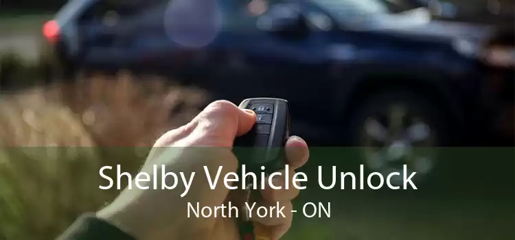 Shelby Vehicle Unlock North York - ON