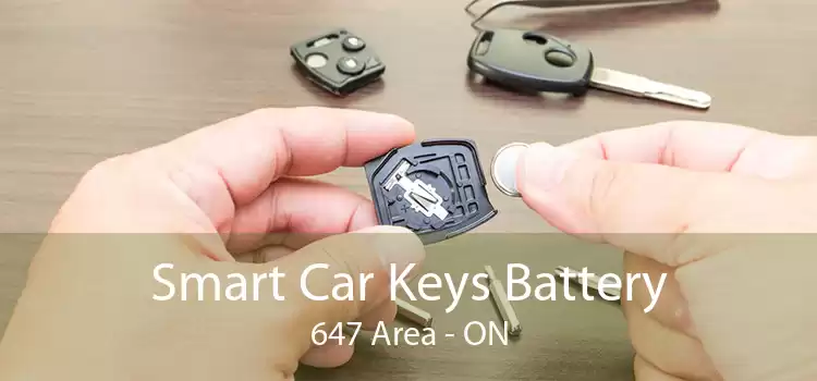 Smart Car Keys Battery 647 Area - ON