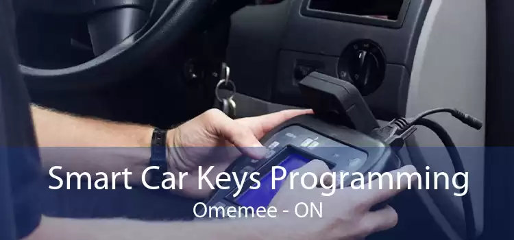 Smart Car Keys Programming Omemee - ON